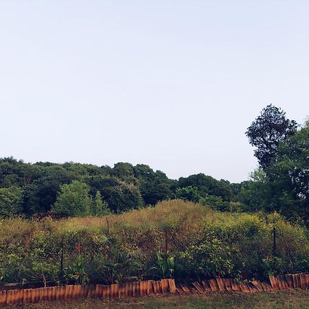 Laforesta By Mahabaleshwar Stay المظهر الخارجي الصورة